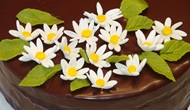 Vogelmilch Torte bestellen