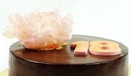 Vogelmilch Torte bestellen