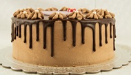 Biskuit Torte bestellen